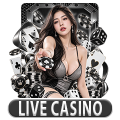 LiveCasino