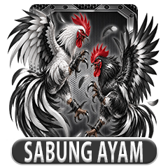 SabungAyam